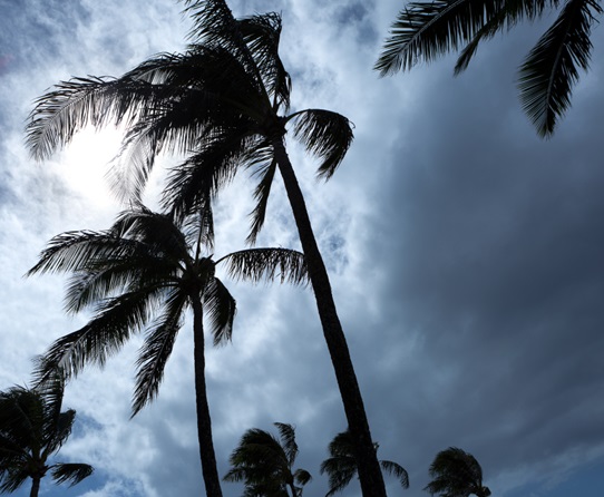 Insurance Storms Whip The Sunshine State